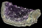Purple Amethyst Cluster - Uruguay #66716-1